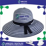 Japan New Design Summer Women's Paper Straw Beach Hat (AZ022)