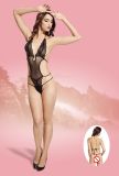 Halter Sexy Fishnet & Lace Teddy 8951