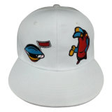 Hot Sale Hat with Nice Logo Nw048