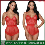 Hot Selling Red Fishnet Transparent Sexy Underwear with Waistband