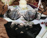 Sexy Transparent Bra Set with Beautiful Embroidery (FPY308)