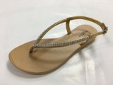 PVC Plastic Lady Sandals for Summer Season