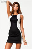 Middle Aged Women's Fashion Dress, Sleeveless, with Zipper