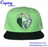 Customize High Quality Snapback Cap/Cheap Hip Hop Cap Hat