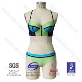 2016 Newest Lycra Spandex Bikini Swimwear