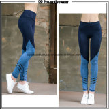 OEM Factory Wholesale Yoga Pants High Waisted Workout Leggings Fitness