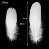 2-4cm Duck Feather