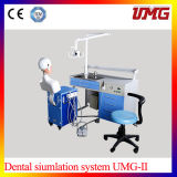 Dental Simulation Training System Dental Phantom Head