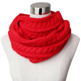 Lady Fashion Acrylic Knitted Infinity Scarf (YKY4373)