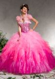 Beaded Quinceanera Gowns Ball Dresses (QG014)