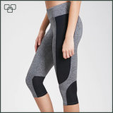 New Design Sport Capri Pants Women's Wholesale Fitness Wear