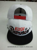 Wholesale 3D Embroidery Plastic Buckle Snapback Cap with Logo Design
