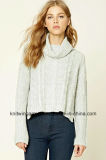 OEM Fashion Hot Sales Turtle Neck Spandex Sweater Blouse (W18-243)