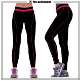 Sportswear Factory Price Wholesale Custom Printed Pattern Ladies Sports Leggings
