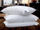 Luxury Home Goose Down Pillow (SFP15-054)