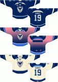 Customized Quebec Major Jr Hockey League Sherbrooke Phoenix Hockey Jersey