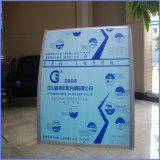 Ten Years Guarantee ISO Certification Polycarbonate 4X4 Transparent Plastic Awning