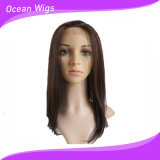 100% Kanekalon Synthetic Lace Front Wig for Black Woman (LW-028)