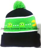 Free Samples More Colors Mixed Woven Beanie Knitted Caps