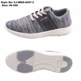 Jinjiang Factory OEM Mesh Running Sport Shoe for Men