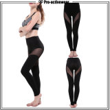 OEM Factory Fitness Leggings Different Kinds of Sports Wear Yoga Pants with Holes