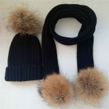 Fur POM Winter Patch Embroidery Hat