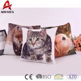 Micromink Cute Custom Digital Printed Decorative Sofa Cushion