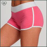High Quality Women Breathable Activewear Wholesale Yoga Shorts