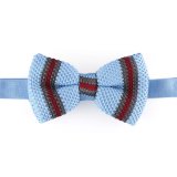 Classic Polyester Knitted Men's Bow Tie (YWZJ 48)