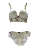 Top Quanlity Embroidery Lace Lingerie Sexy Bra and Panty (CLD003)