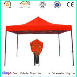 Polyurethane Coated Textile Outdoor Waterproof 600d Awning Fabric with UV Protected