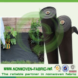 UV Stabilised PP Agriculture Nonwoven Fabrics
