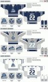 Customized Echl Chicago Express Ice Hockey Jersey