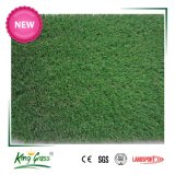 Factory Price Synthetic Grass Carpet with Home