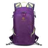 Professional Factory Double Shoulder Backpack Bag Travel Sport Backpack