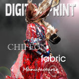 Digital Printing Chiffon Fabric/Printed Chiffon Fabric for Making Dress and Blouse/Digital Printing Chiffon for Ss14 (M026)
