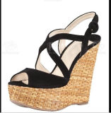 New Style of Wedge Women Sandals (HS13-107)