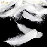 White Goose Down & Feather for Hotel Duvet Filling