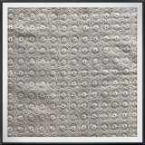 Cotton Fabric Cotton Eyelet Lace Cotton Lae for Clothing
