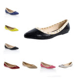 Pop Fashion Flat Casual Lady Shoes (s05)