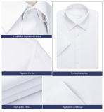 Mens 100% Cotton High Quality Short Sleeve Slim Business Shirts with Pointed Collar