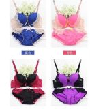 Factory Price Sexy Bra and Panty Underwear Fancy Lingerie Set
