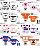Customized American Hockey League Adirondack Phantoms Hockey Jersey