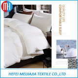 100% Cotton Goose Down Luxury Quilt