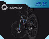 Shimano Brake 8 Speed Gear Veloup System Electric Bike for Man