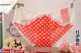 Candy Designs Colourful Lace Milk Silk Lovely Girls Underwear Panties