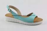New Design Colorful Lady Shoes Flat Sandal for Fashion