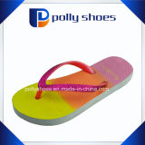 Womens Flip Flop Thong Beach Pool Summer Sandals
