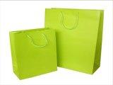 Hot Sales Paper Shopping Bag with Your Logo Printing