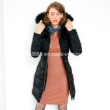 Women Best Quality Long Fitted Padded Jacket